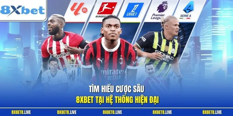 Tìm hiểu cược sâu 8Xbet tại hệ thống hiện đại